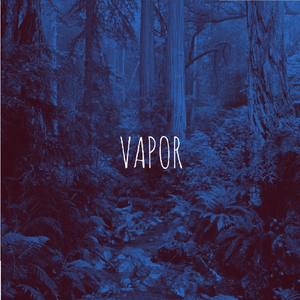 Vapor (with Weaver Beats)