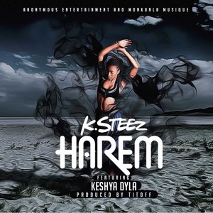Harem (Explicit)