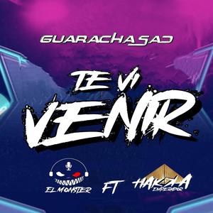 Te Vi Venir Guaracha SaD (feat. El Monster)