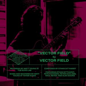 Vector Field