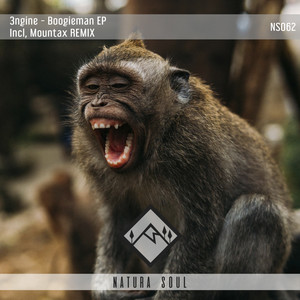 Boogieman (Mountax Remix)