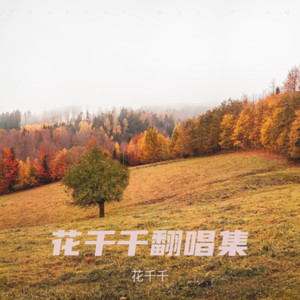 如果南风知我意