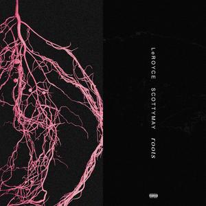 Roots (feat. ScottyMay) (Explicit)