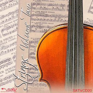 Strings, Vol. Two