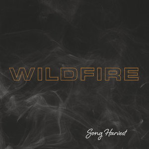 Wildfire