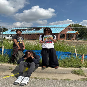 free quis (Explicit)