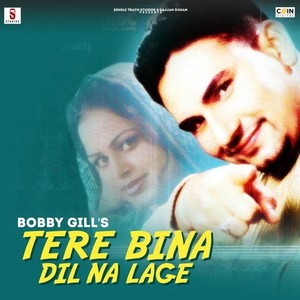 Tere Bin Dil Na Lage