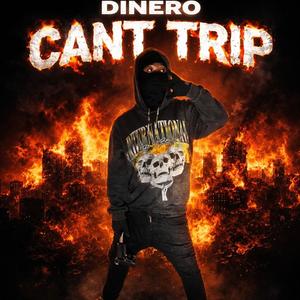 Cant Trip (Explicit)