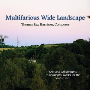 Multifarious Wide Landscape (2024 remastered edition)