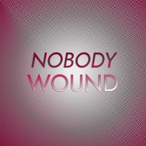 Nobody Wound