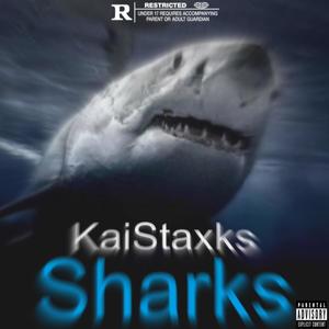 Sharks (Explicit)