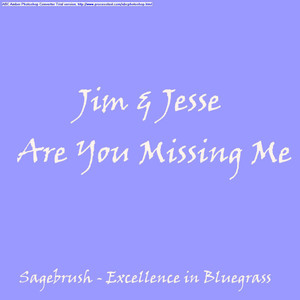 Are You Missing Me