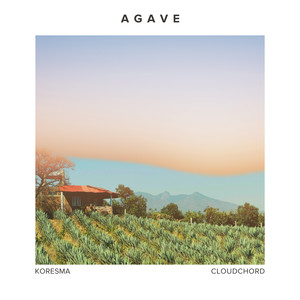 Agave
