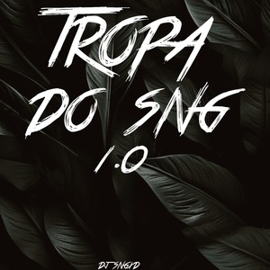 Tropa Do Sng 1.0 (Explicit)