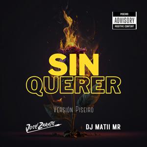 Sin Querer (feat. DJ Matii Mr) [Piseirox Version]