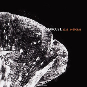 292513 (Original Mix)