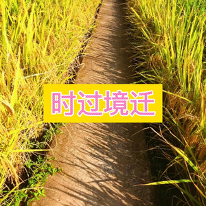 卓儿 - 海市蜃楼 (串烧版)