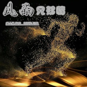 刘顶柱 - 风雨兄弟情