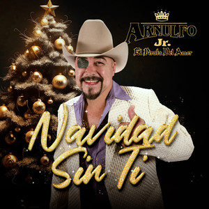 Navidad Sin Ti