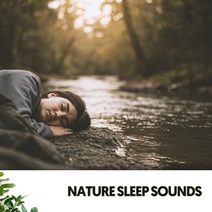 Nature Sleep Sounds: Dreamscapes by the River