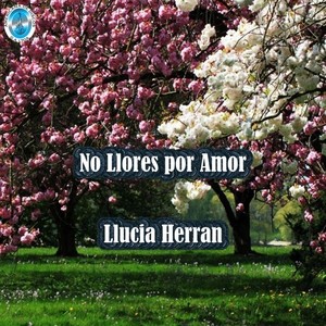 No Llores por Amor