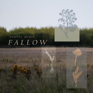 Fallow (Explicit)