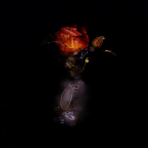 Pretty Boy (Explicit)