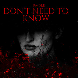 Don't Need to Know (Explicit)