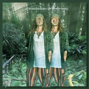 maximize your s(t)imulation