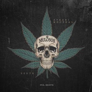 MULOSOS (feat. AYAARI NOCEDAL) (Explicit)