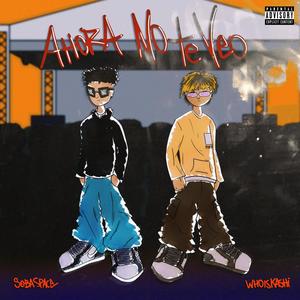Ahora No Te Veo (feat. Whoiskashi) (Explicit)