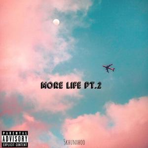 More Life Pt. 2 (Explicit)