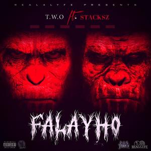 Falayho (feat. Stacksz) (Explicit)