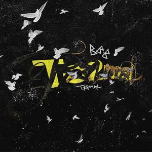 molotovv (feat. corvy will) (Explicit)