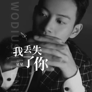 我丢失了你 (伴奏)