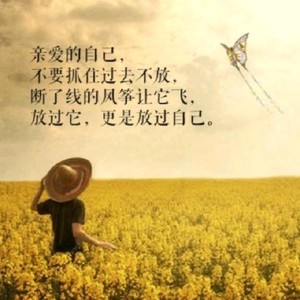 情歌轻轻唱