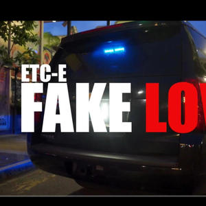 Fake Love