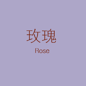 玫瑰 (Rose)