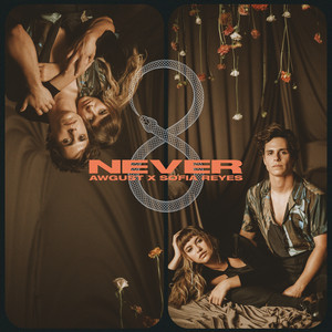 Never (Explicit)