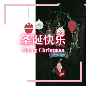 精卫 (琵琶版)封面