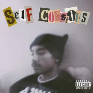 self consious (interlude) [Explicit]