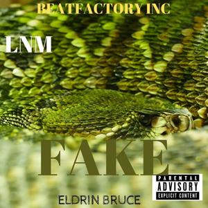 FAKE (Explicit)