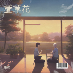 萱草花