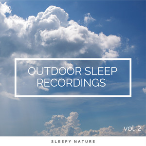 Euphoric Islands of Natural Voices for Instant Sleep pt. 1(feat. Nature  Rainforest Sounds Collective, Dulces Sueños & Weather Experience)