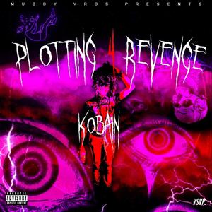 PLOTTING 4 REVENGE (Explicit)