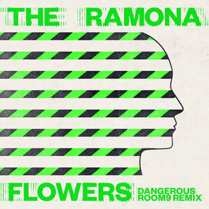 Dangerous (Room 9 Remix)