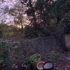 Joe Leytrick - majestic (Explicit)