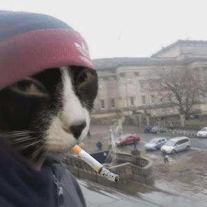 Bobijs Varenais Šāvējs - T uz P (Explicit)