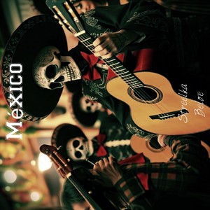 Me dediqué a Perderte