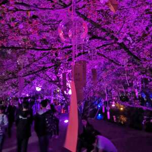 起风了 (COVER版)